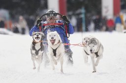 Lenzerheide 2013